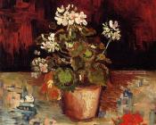 文森特威廉梵高 - 静物，花盆里的天竺葵